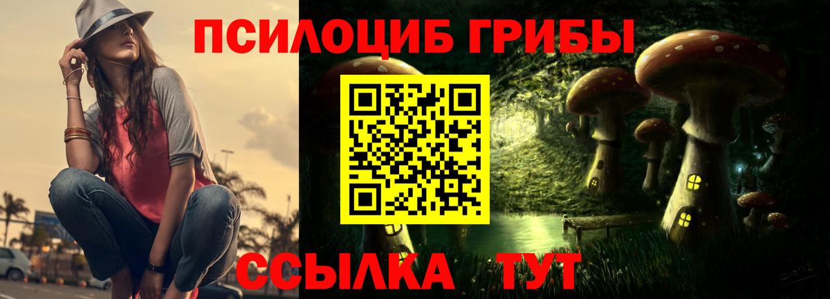 Псилоцибиновые грибы ЛСД  Вход с VPN  закладка  Губкинский 